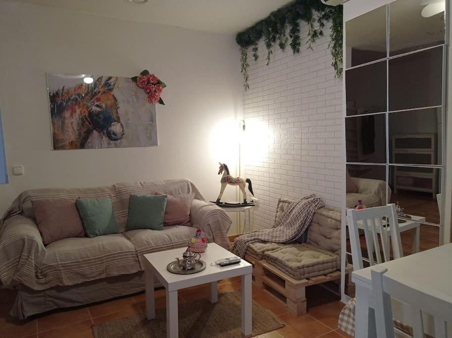 Precioso Loft En El Centro De Cordoba. Apartment *